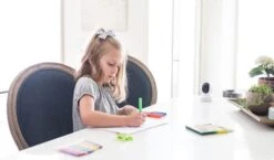 Reolink E1 Pro 4MP Binnen IP Camera -Aanbevolen Elektronicawinkels 10200 reolink e1 pro 4mp binnen ip camera