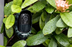 Reolink Argus Skin Full Suit Wit -Aanbevolen Elektronicawinkels 7334 reolink argus skin full suit wit